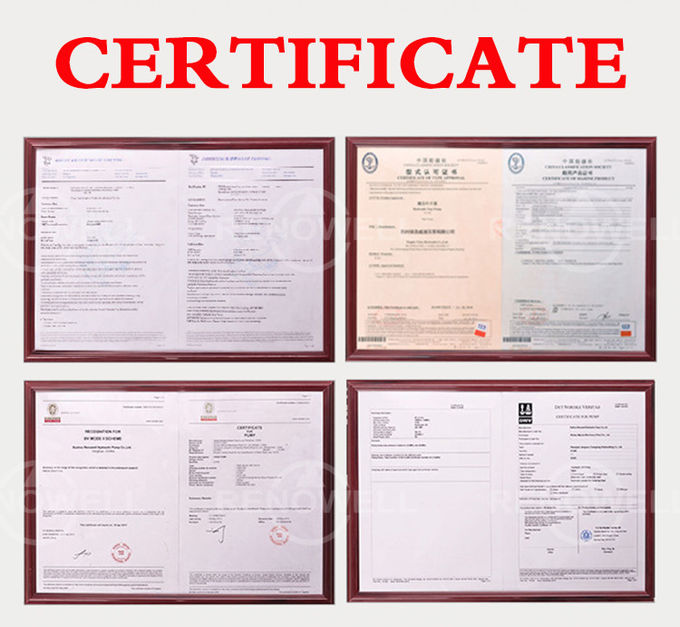 De Vinpompen van hoge drukdenison met 1 Gediplomeerde Jaargarantie ISO9001